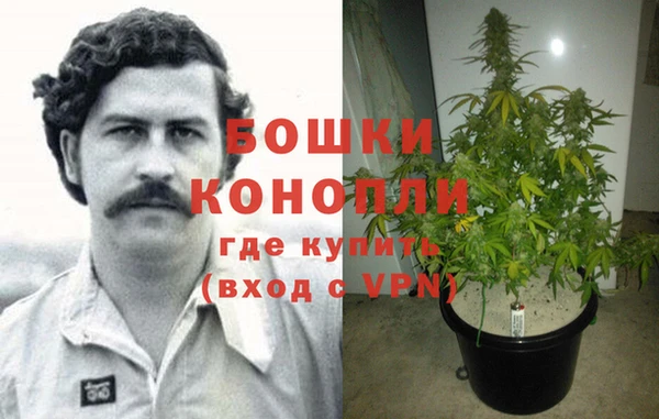 прущие крисы Новозыбков