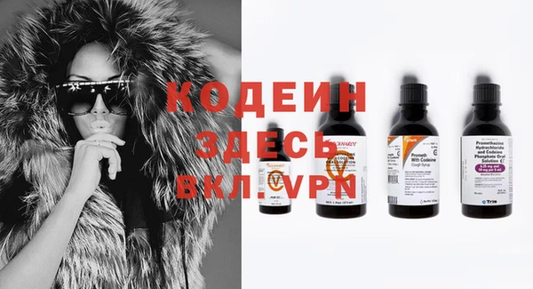 прущие грибы Балабаново