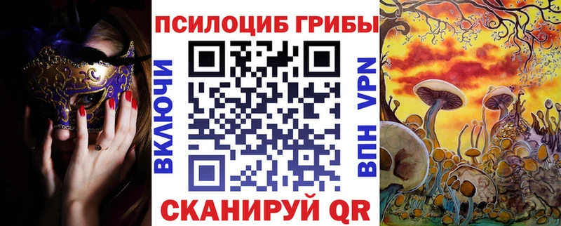 где купить наркоту  Тимашёвск  Галлюциногенные грибы Psilocybe 