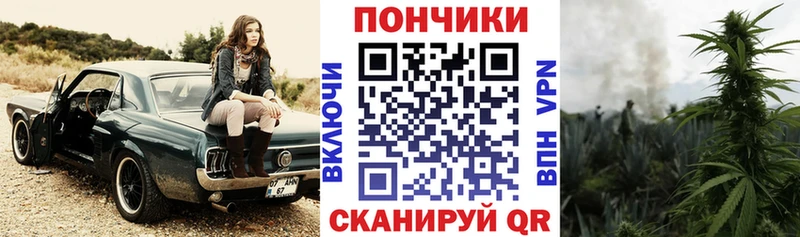 Каннабис OG Kush Тимашёвск